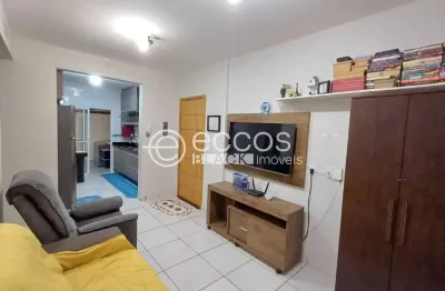 Apartamento à venda, 2 quartos, 1 vaga, novo mundo - uberlândia/mg