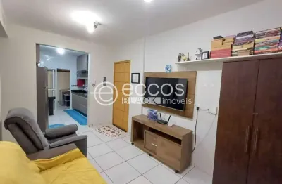 Apartamento à venda, 2 quartos, 1 vaga, novo mundo - uberlândia/mg