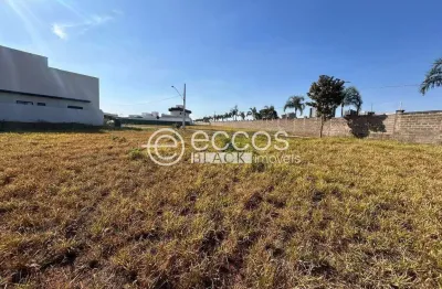 Terreno em condomínio fechado à venda na Rua Professora Maria Célia Cence, 455, Gávea Sul, Uberlândia