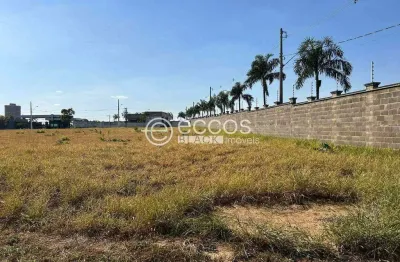 Terreno em condomínio fechado à venda na Rua Professora Maria Célia Cence, 497, Gávea Sul, Uberlândia