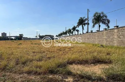 Terreno em condomínio fechado à venda na Rua Professora Maria Célia Cence, Gávea Sul, Uberlândia