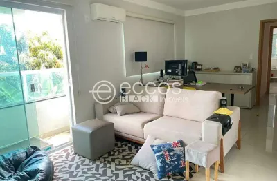 Apartamento à venda, 3 quartos, 1 suíte, 1 vaga, saraiva - uberlândia/mg