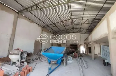 Barracão / Galpão / Depósito para alugar na Avenida Monsenhor Eduardo, Bom Jesus, Uberlândia