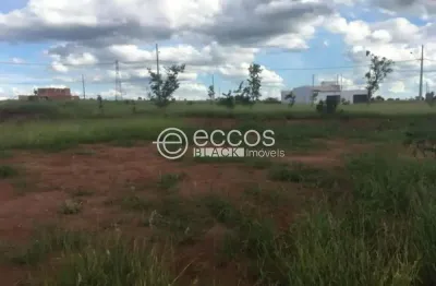 Terreno à venda na Rua Isaias Lopes Medeiros, 78, Laranjeiras, Uberlândia
