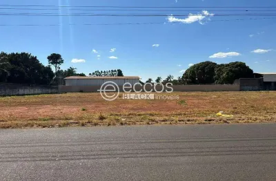 Terreno à venda na Rua das Palmeiras, Morada dos Pássaros, Uberlândia