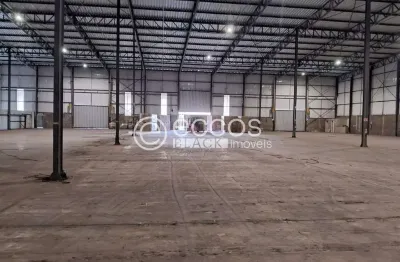 Barracão / Galpão / Depósito para alugar na Rodovia BR-452, 562, Distrito Industrial, Uberlândia