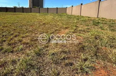 Terreno em condomínio fechado à venda na Avenida das Copaibas, 274, Gávea, Uberlândia
