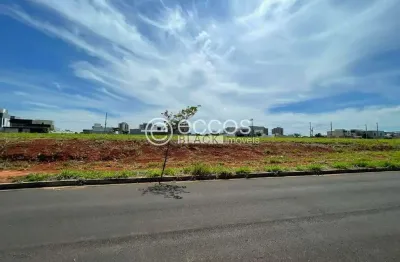Terreno à venda na Rua Herbal, 110, Grand Ville, Uberlândia