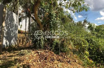 Terreno em condomínio fechado à venda na Avenida Canadá, Mirante da Mata, Nova Lima