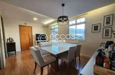 Apartamento à venda, 3 quartos, 1 suíte, 2 vagas, são pedro - belo horizonte/mg