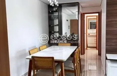 Apartamento à venda, 2 quartos, 1 suíte, 2 vagas, tubalina - uberlândia/mg