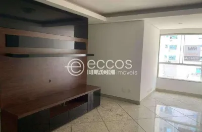 Apartamento à venda, 2 quartos, 1 suíte, 2 vagas, vila da serra - nova lima/mg