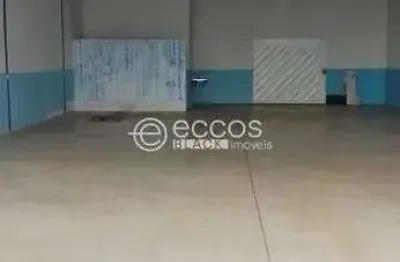 Barracão / Galpão / Depósito para alugar na Avenida Aldo Borges Leão, 156, Jardim Canaã, Uberlândia