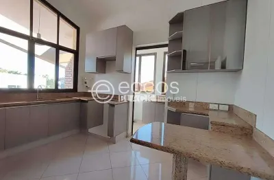 Apartamento para aluguel, 3 quartos, 1 suíte, 2 vagas, lídice - uberlândia/mg