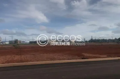 Terreno à venda na Avenida Segismundo Pereira, 63, Novo Mundo, Uberlândia