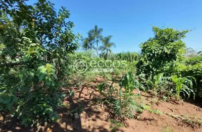 Chácara à venda, 2 quartos, morada nova - uberlândia/mg