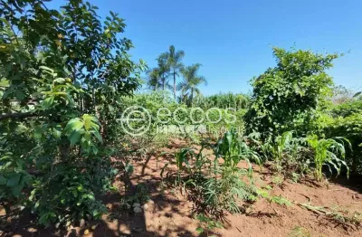 Chácara / sítio com 2 quartos à venda na Rua Maria Moraes de Rezende, 255, Morada Nova, Uberlândia