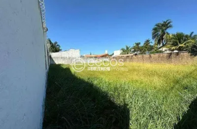 Terreno à venda na Rua Aruá, Jardim Karaíba, Uberlândia