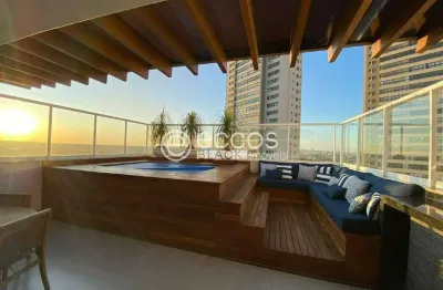 Cobertura para aluguel, 3 quartos, 3 suítes, 3 vagas, jardim karaíba - uberlândia/mg