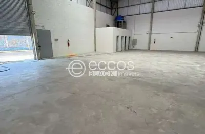 Barracão / Galpão / Depósito para alugar na Avenida Quilombo dos Palmares, 1779, Marta Helena, Uberlândia