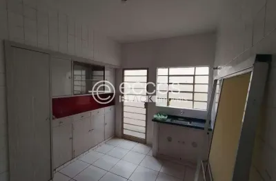 Casa com 3 quartos para alugar na Rua Pedro Nasciutti, Centro, Araguari
