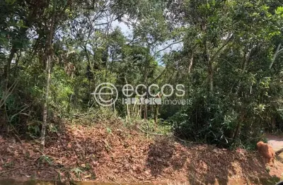 Terreno em condomínio fechado à venda na Alameda do Paraíso, Green Park, Nova Lima