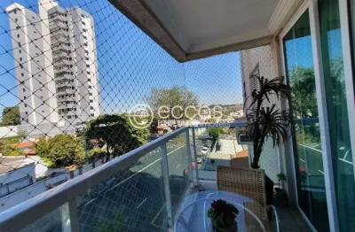 Apartamento à venda, 3 quartos, 1 suíte, 2 vagas, fundinho - uberlândia/mg