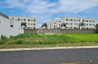 Terreno em condomínio fechado à venda na Rua Professora Maria Célia Cence, 350, Shopping Park, Uberlândia