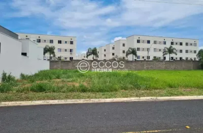 Terreno em condomínio fechado à venda na Rua Professora Maria Célia Cence, 350, Shopping Park, Uberlândia
