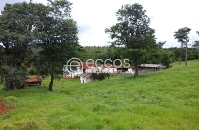 Chácara / sítio à venda na Área Rural, Área Rural de Uberlândia, Uberlândia