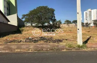 Terreno à venda na Alameda Ecológica, 101, Bosque dos Buritis, Uberlândia