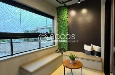 Apartamento à venda, 2 quartos, 1 suíte, 2 vagas, santa mônica - uberlândia/mg