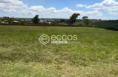 Terreno em condomínio à venda, granja marileusa - uberlândia/mg