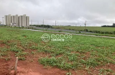 Terreno em condomínio à venda, portal do vale - uberlândia/mg