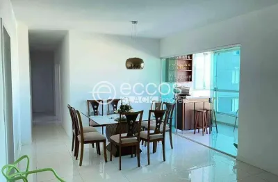 Apartamento à venda, 4 quartos, 1 suíte, 2 vagas, santa mônica - uberlândia/mg