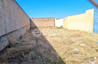 Terreno à venda na Rua Bento de Faria, 630, Lagoinha, Uberlândia