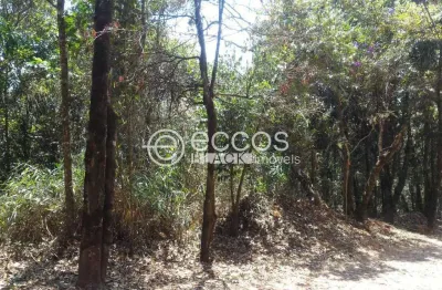 Terreno em condomínio fechado à venda na Alameda Amigo do Rei, 107, Passárgada, Nova Lima