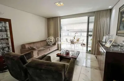 Apartamento à venda, 3 quartos, 1 suíte, 2 vagas, lourdes - belo horizonte/mg