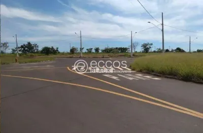Terreno à venda na Qu L13, 102, Jardim Milenium, Araguari