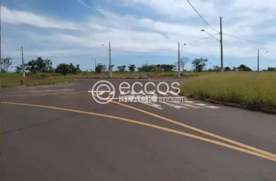 Terreno à venda na Qu L13, Jardim Milenium, Araguari