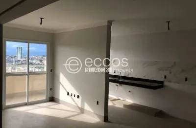 Apartamento à venda, 2 quartos, 1 suíte, 2 vagas, santa mônica - uberlândia/mg