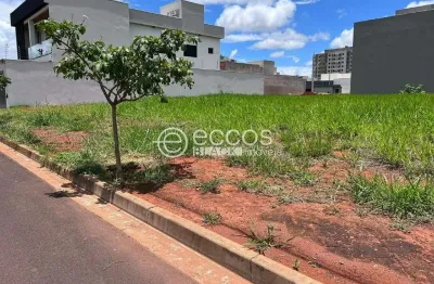 Terreno em condomínio fechado à venda na Rua Pigmento, 71, Grand Ville, Uberlândia