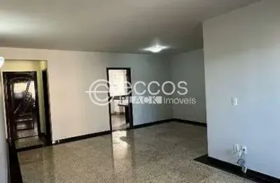 Apartamento à venda, 4 quartos, 1 suíte, 2 vagas, tabajaras - uberlândia/mg