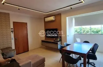 Apartamento à venda, 2 quartos, 1 suíte, 1 vaga, santa mônica - uberlândia/mg