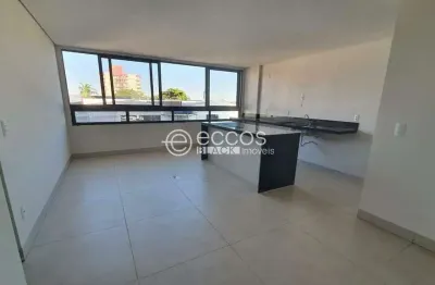 Apartamento à venda, 2 quartos, 1 suíte, 2 vagas, brasil - uberlândia/mg