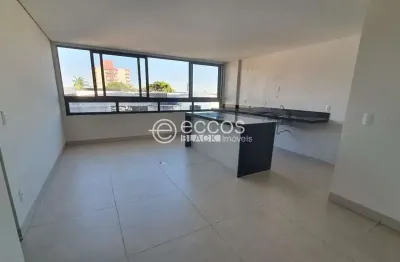 Apartamento à venda, 2 quartos, 1 suíte, 2 vagas, brasil - uberlândia/mg