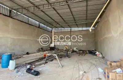 Barracão / Galpão / Depósito para alugar na Rua Professora Maria Célia Cence, 1145, Shopping Park, Uberlândia