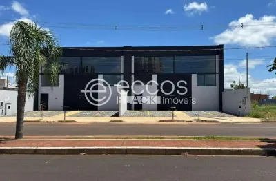 Barracão / Galpão / Depósito para alugar na Avenida Victor Alves Pereira, Novo Mundo, Uberlândia