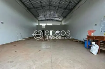 Barracão / Galpão / Depósito para alugar na Avenida Aldo Borges Leão, 611, Residencial Pequis, Uberlândia