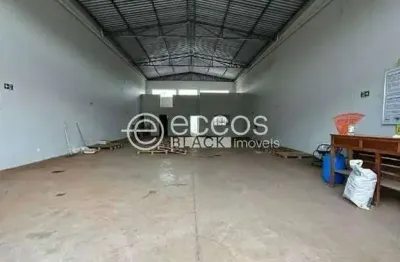 Barracão / Galpão / Depósito para alugar na Avenida Aldo Borges Leão, 611, Residencial Pequis, Uberlândia